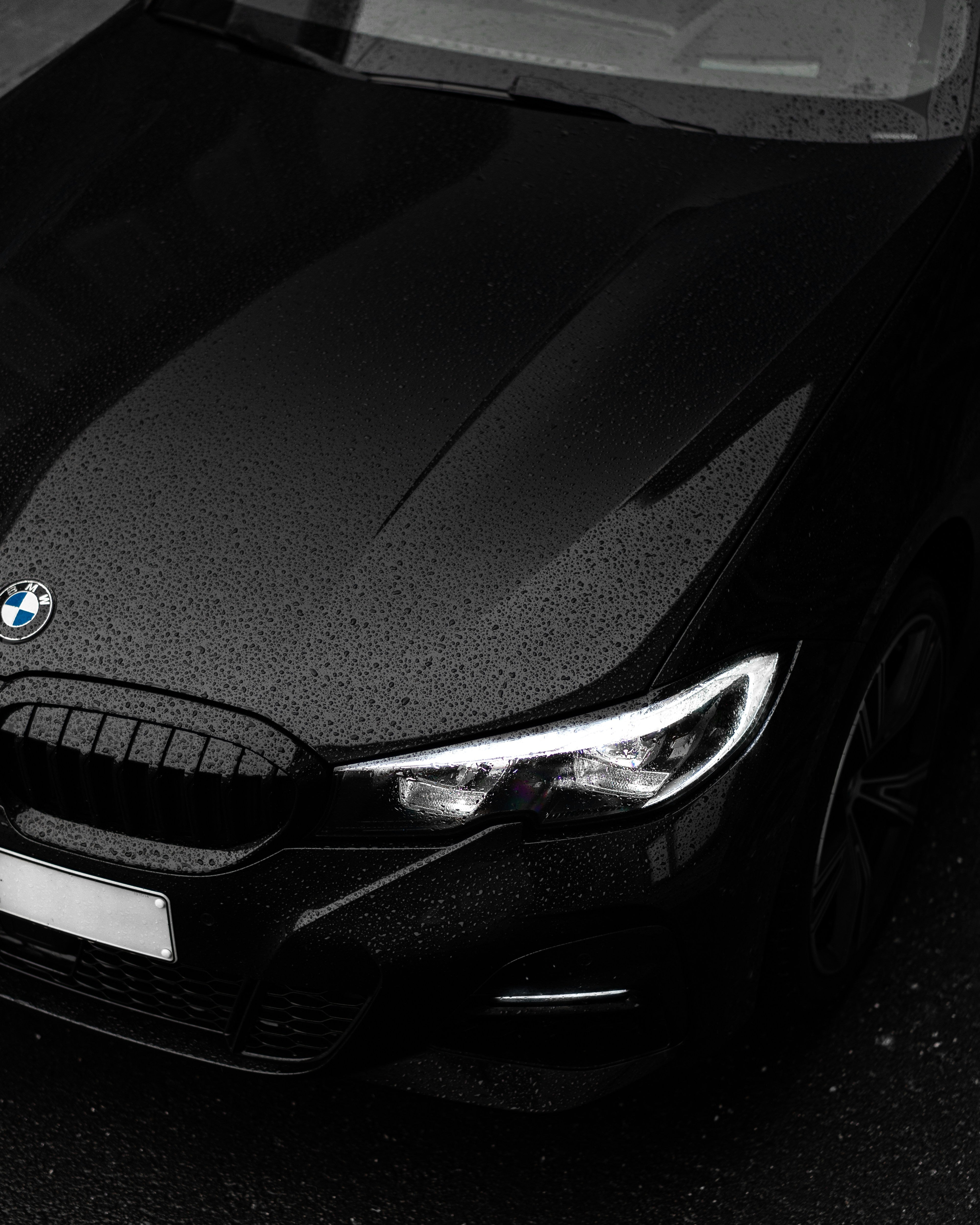 Image of BMW T-Shirts & Merch