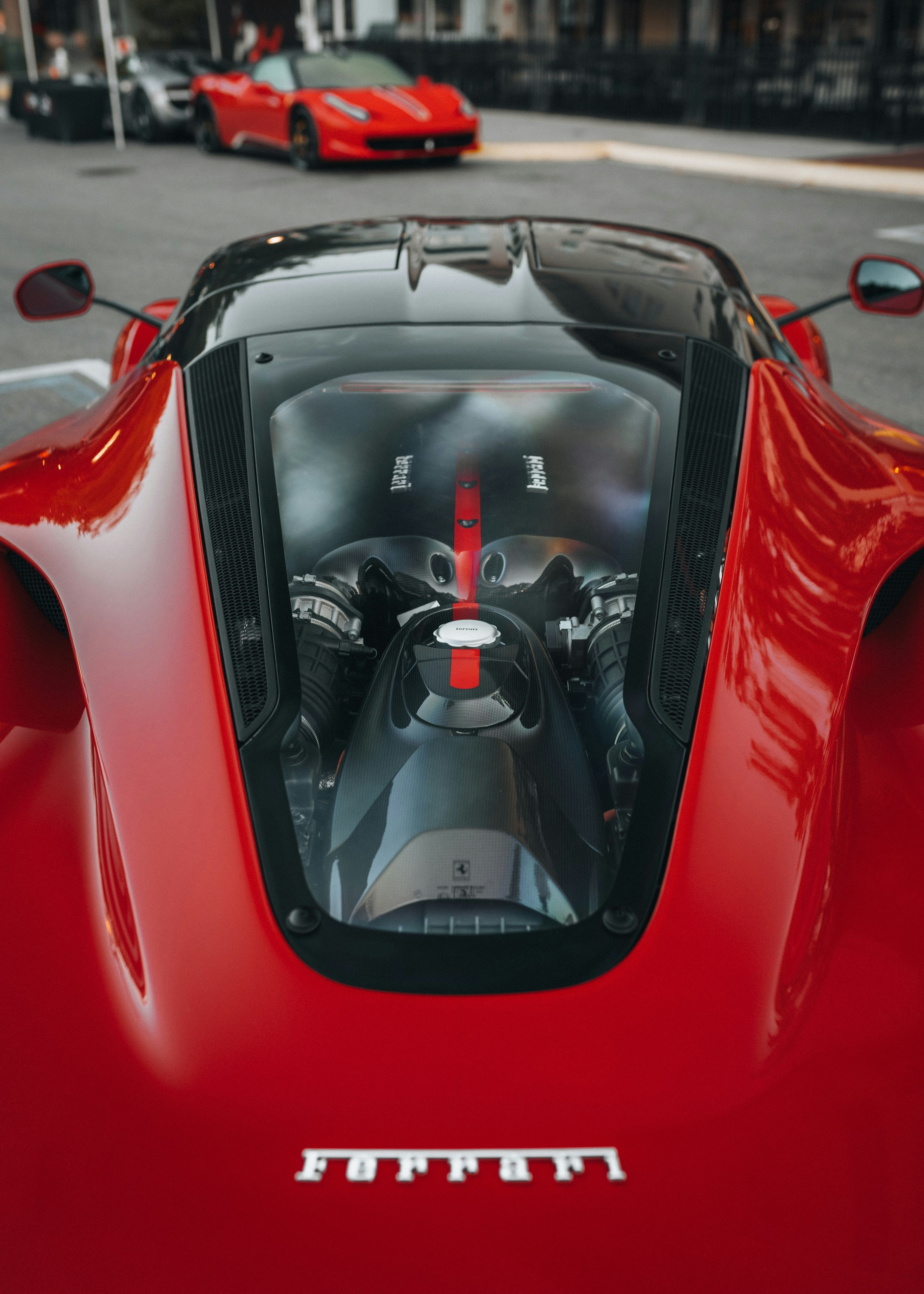 Image of Italian Thoroughbreds Series
