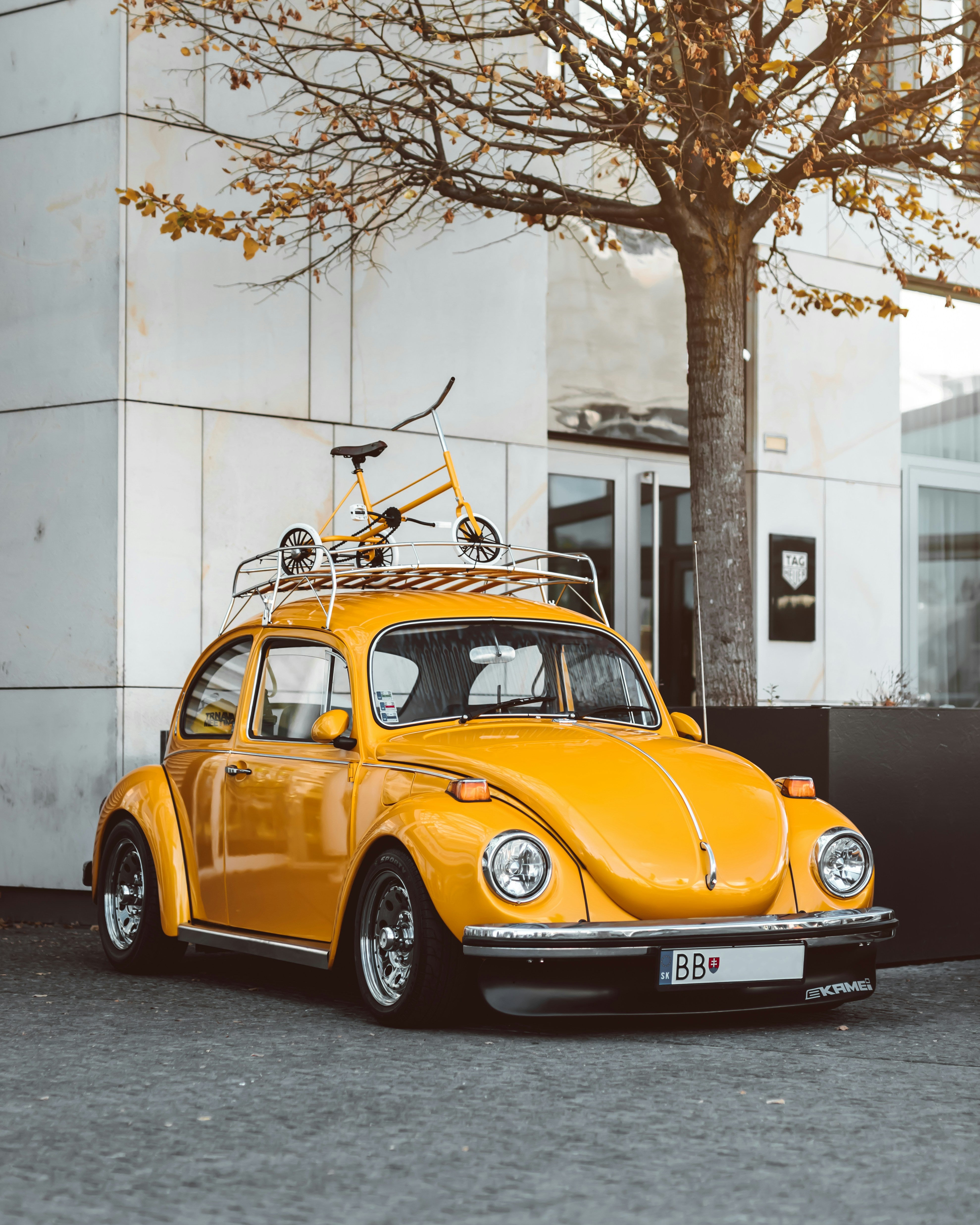 Image of Volkswagen T-Shirts & Merch